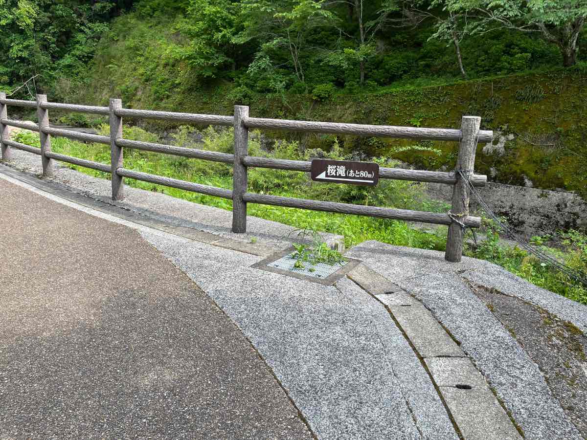 桜滝 道